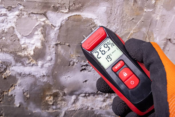 Best Health and Safety Mold Remediation in Germantown, OH